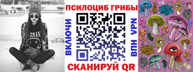 OMG ONION  Приозерск  Псилоцибиновые грибы прущие грибы  купить  